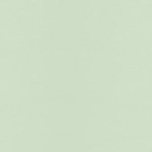 Meet your Posher, Jaclyn